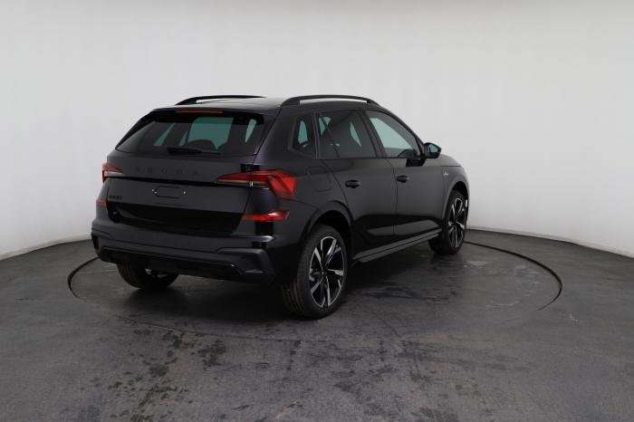 Fahrzeugbild eines Skoda Kamiq