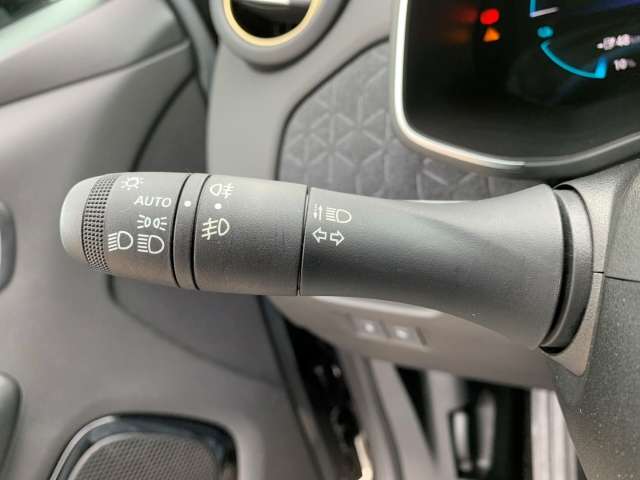 Fahrzeugbild eines Renault ZOE