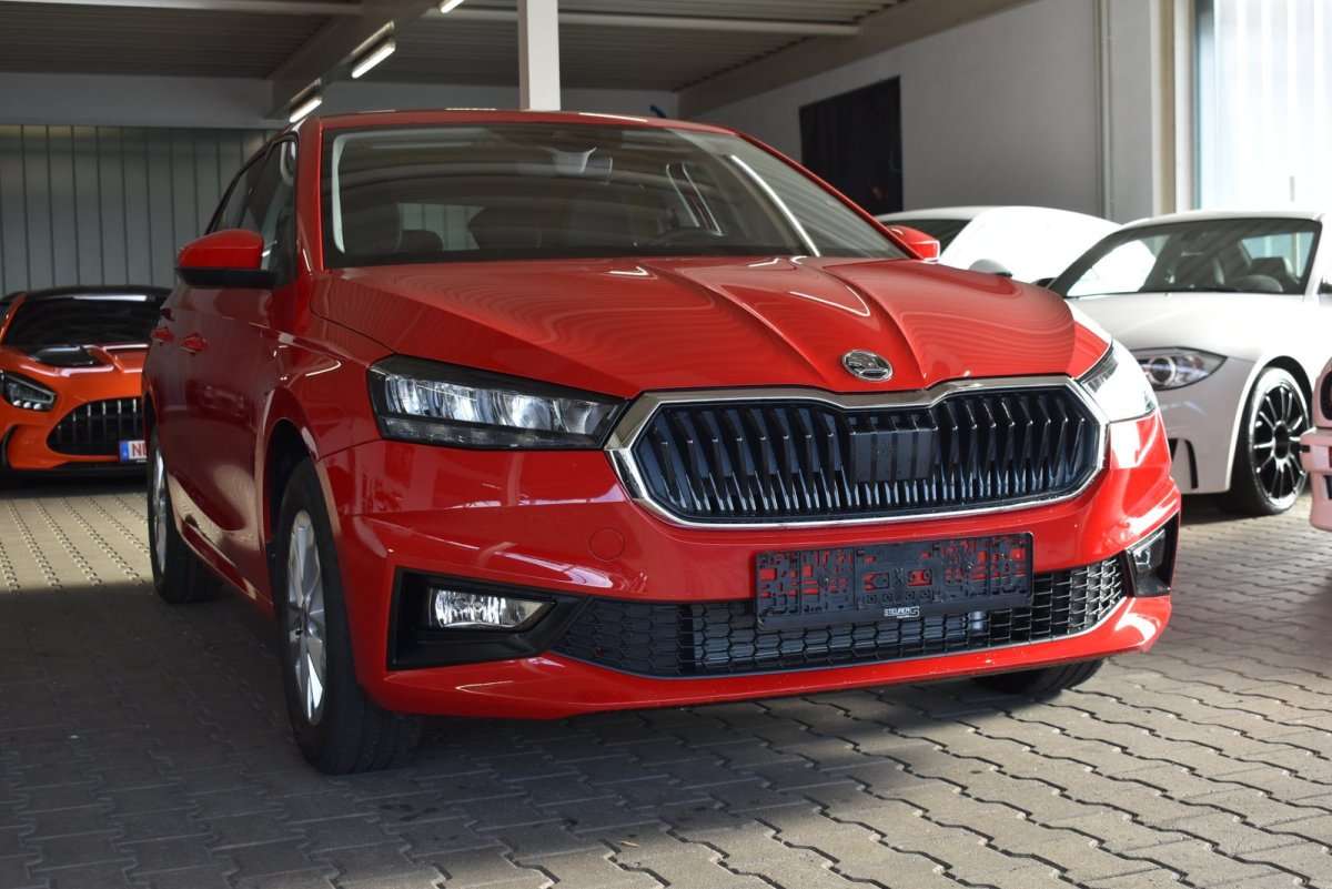 Fahrzeugbild eines Skoda Fabia