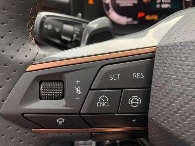 Fahrzeugbild eines CUPRA Terramar