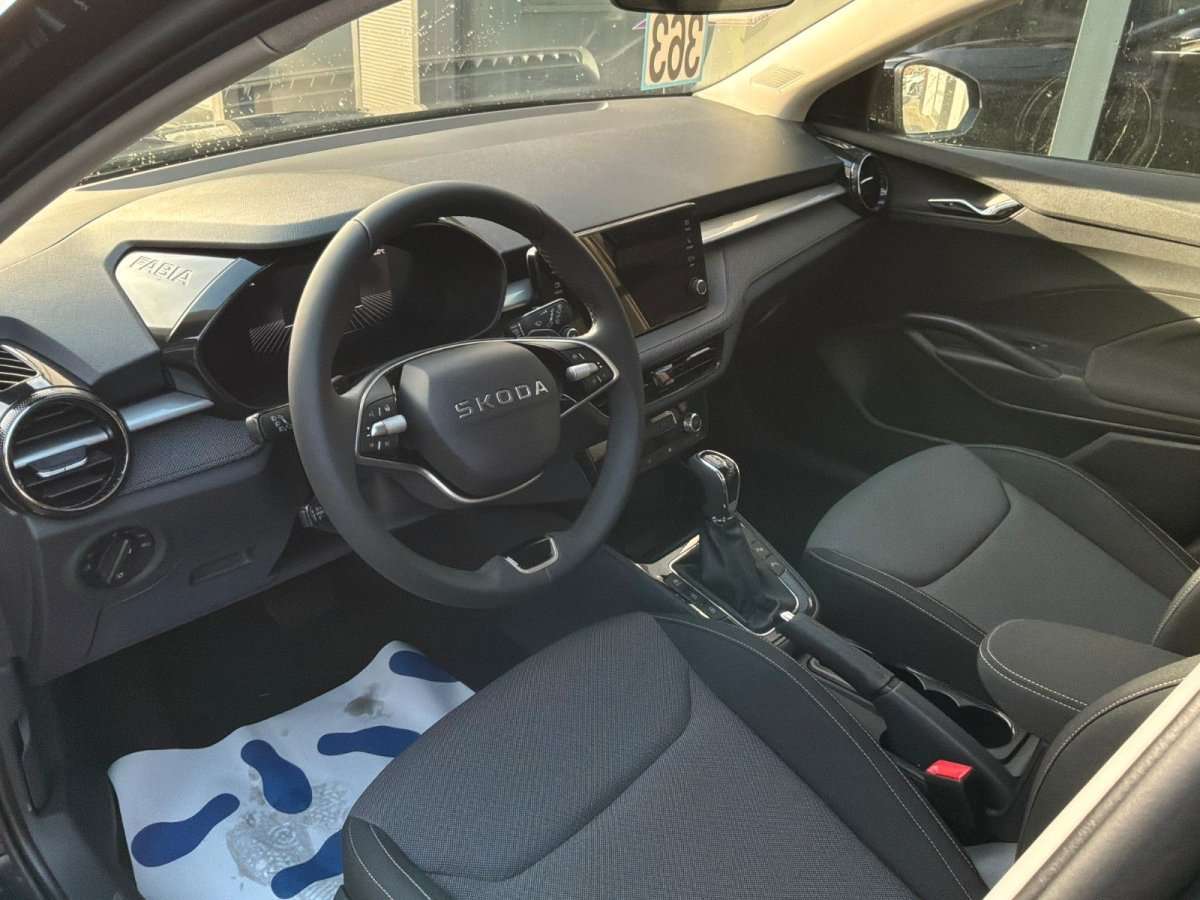 Fahrzeugbild eines Skoda Fabia