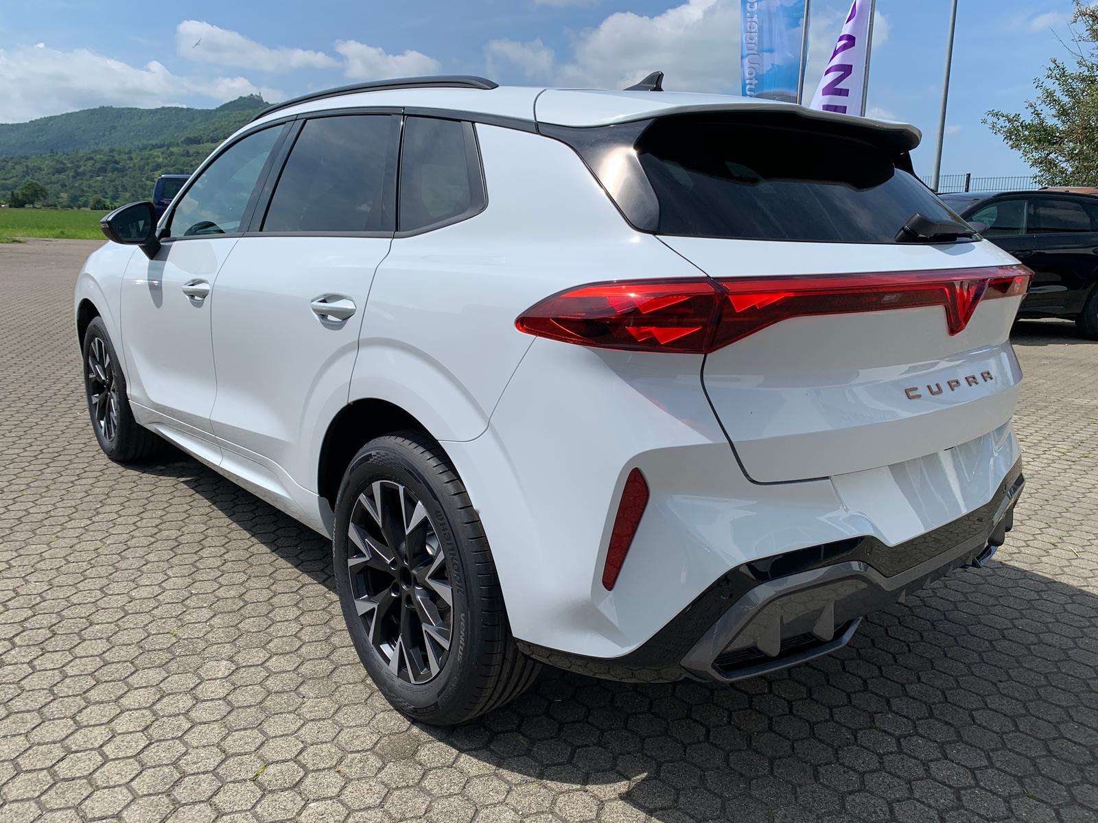 Fahrzeugbild eines CUPRA Terramar