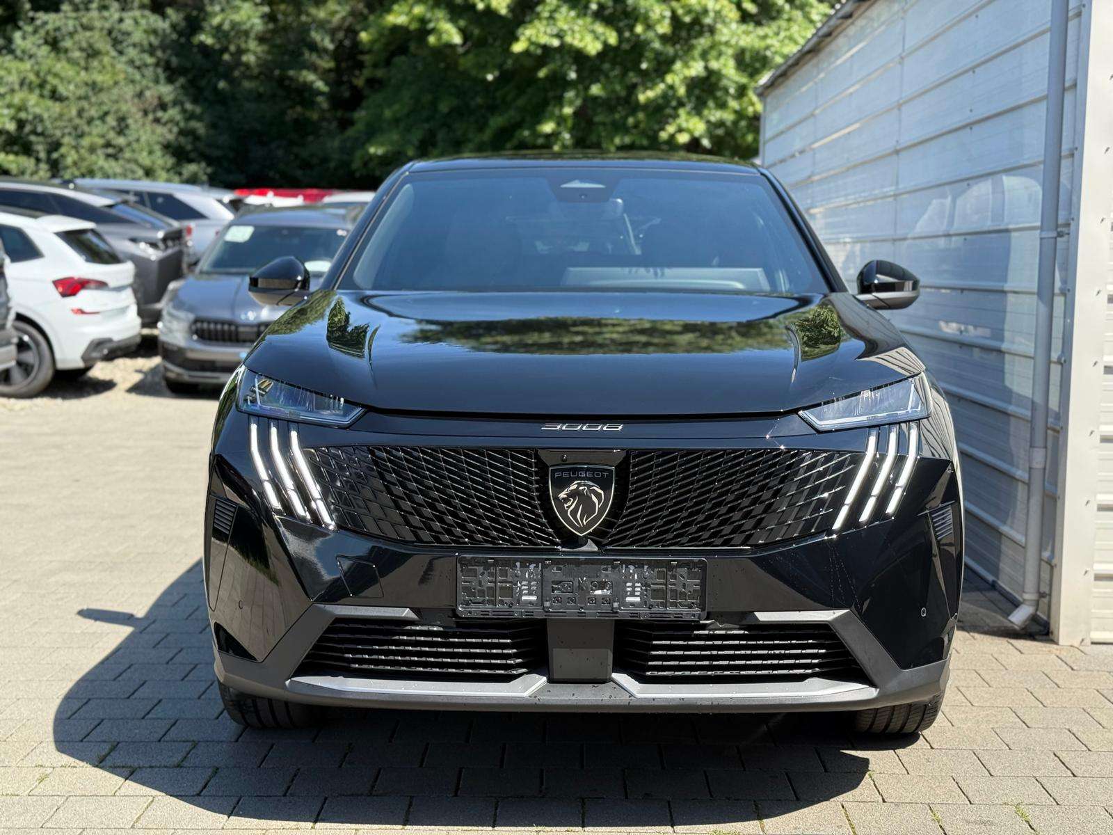 Fahrzeugbild eines Peugeot 3008