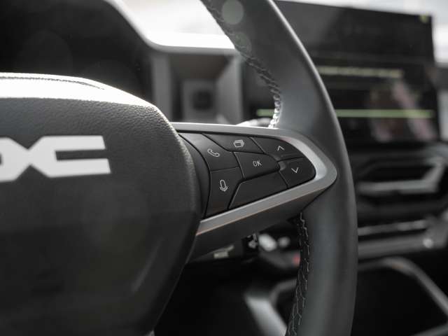 Fahrzeugbild eines Dacia Bigster