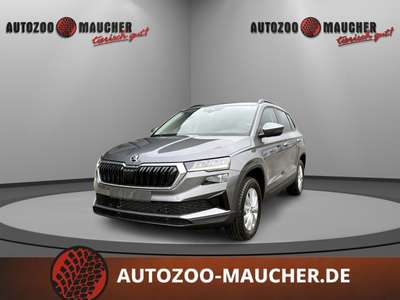 Bild Skoda Karoq
