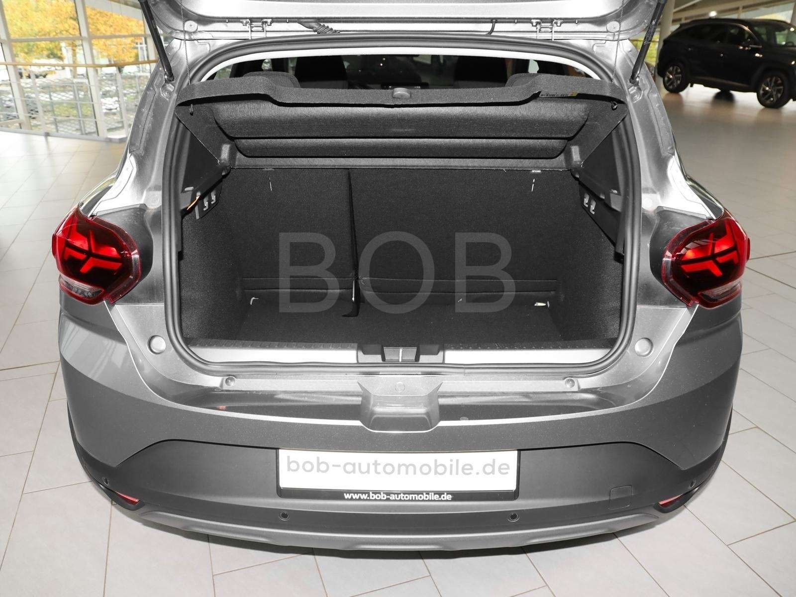 Fahrzeugbild eines Dacia Sandero