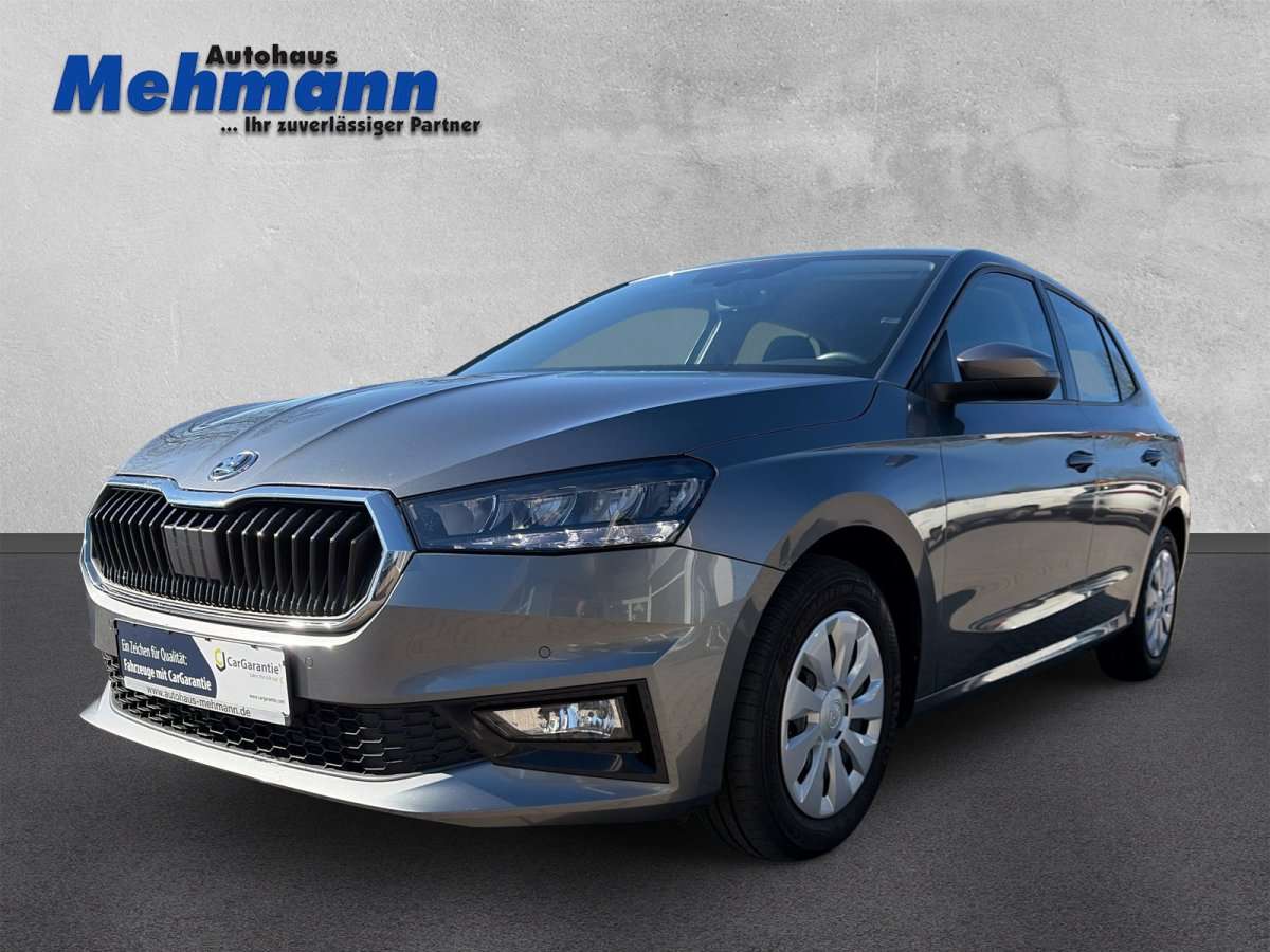 Fahrzeugbild eines Skoda Fabia