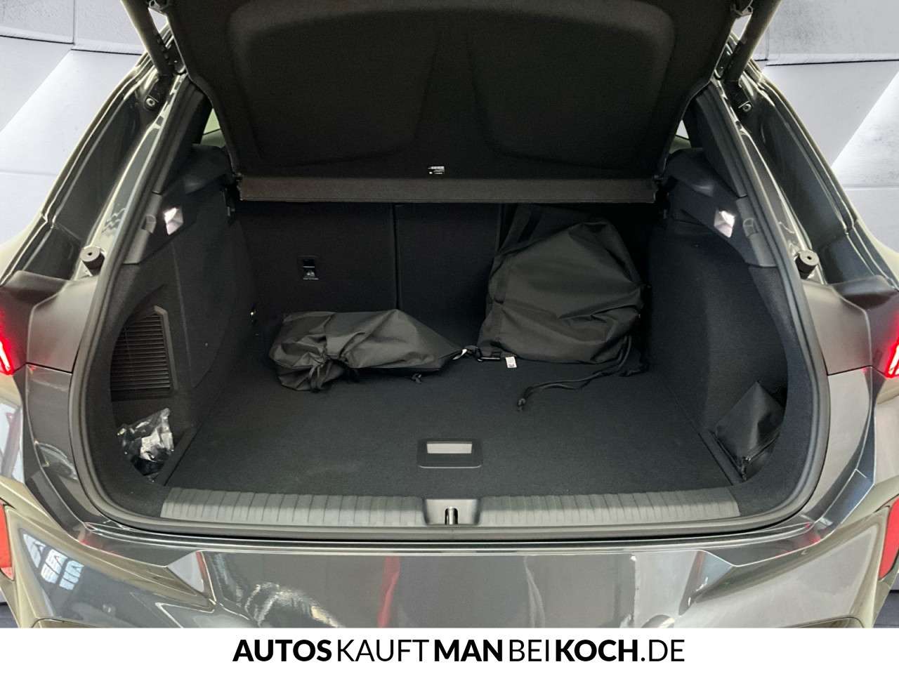 Fahrzeugbild eines CUPRA Terramar