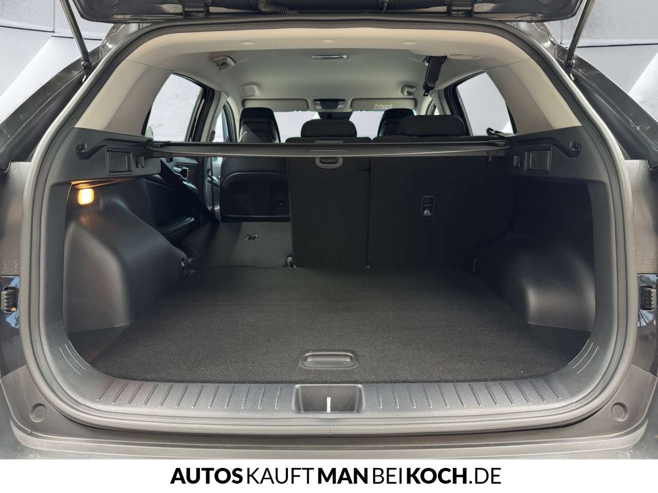 Fahrzeugbild eines Kia Sportage