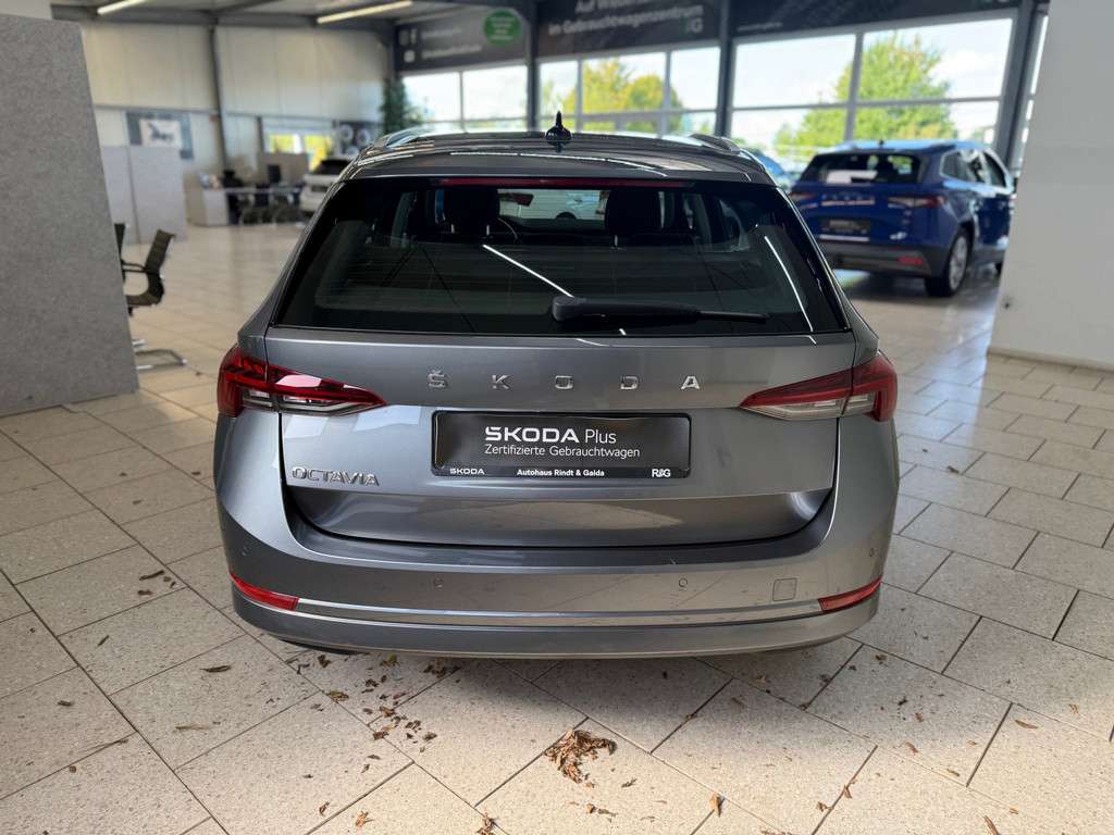 Fahrzeugbild eines Skoda Octavia