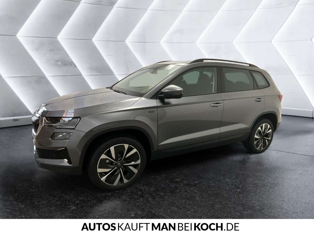 Fahrzeugbild eines Skoda Karoq