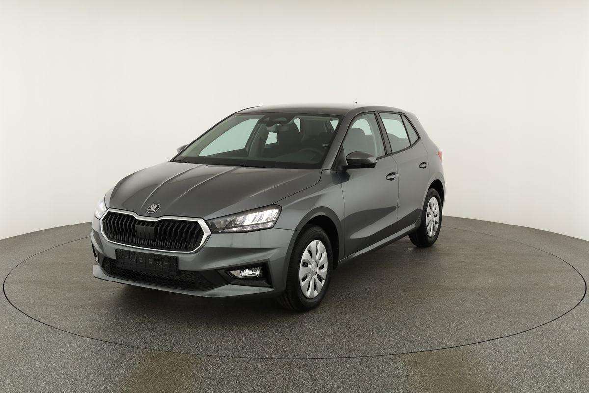 Fahrzeugbild eines Skoda Fabia