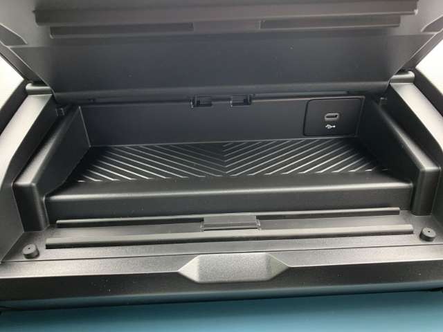 Fahrzeugbild eines Dacia Spring