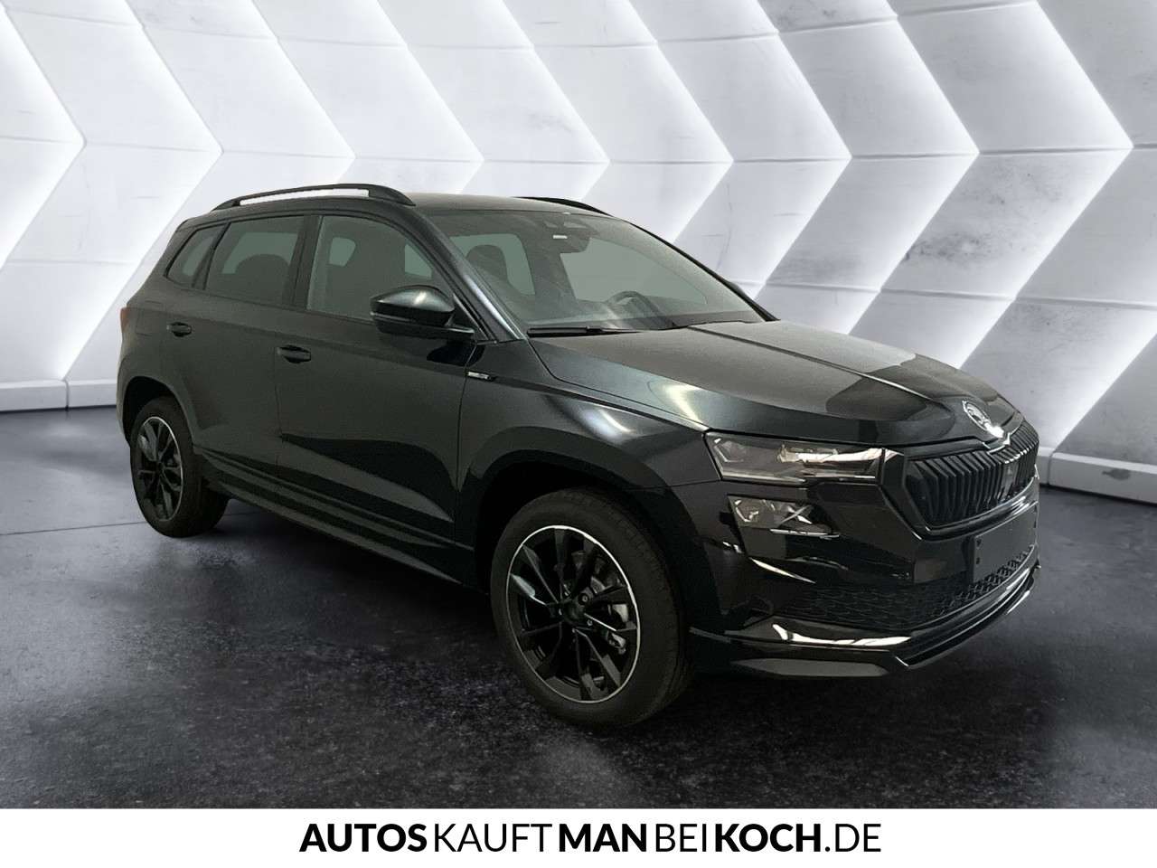 Fahrzeugbild eines Skoda Karoq