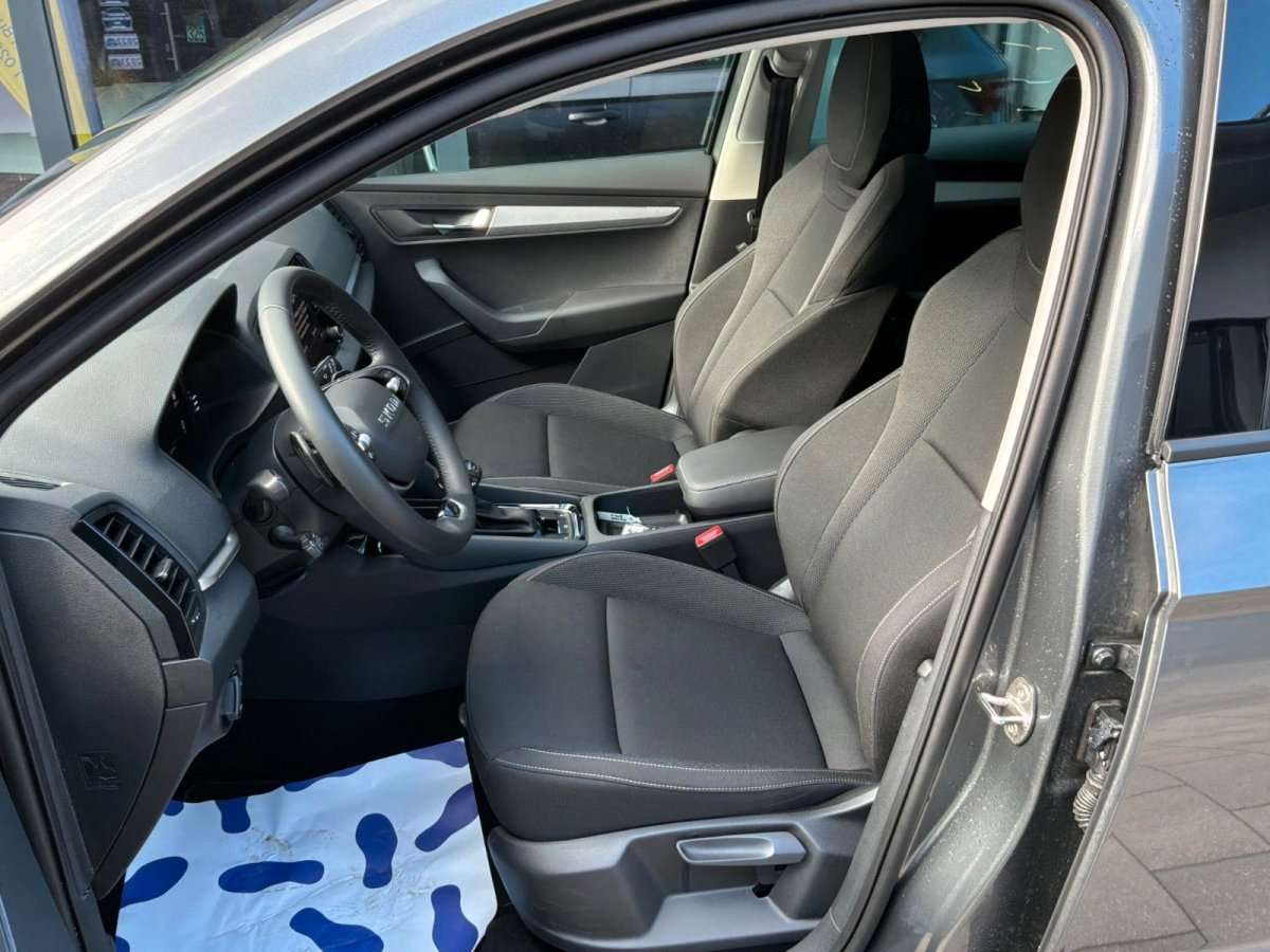 Fahrzeugbild eines Skoda Karoq