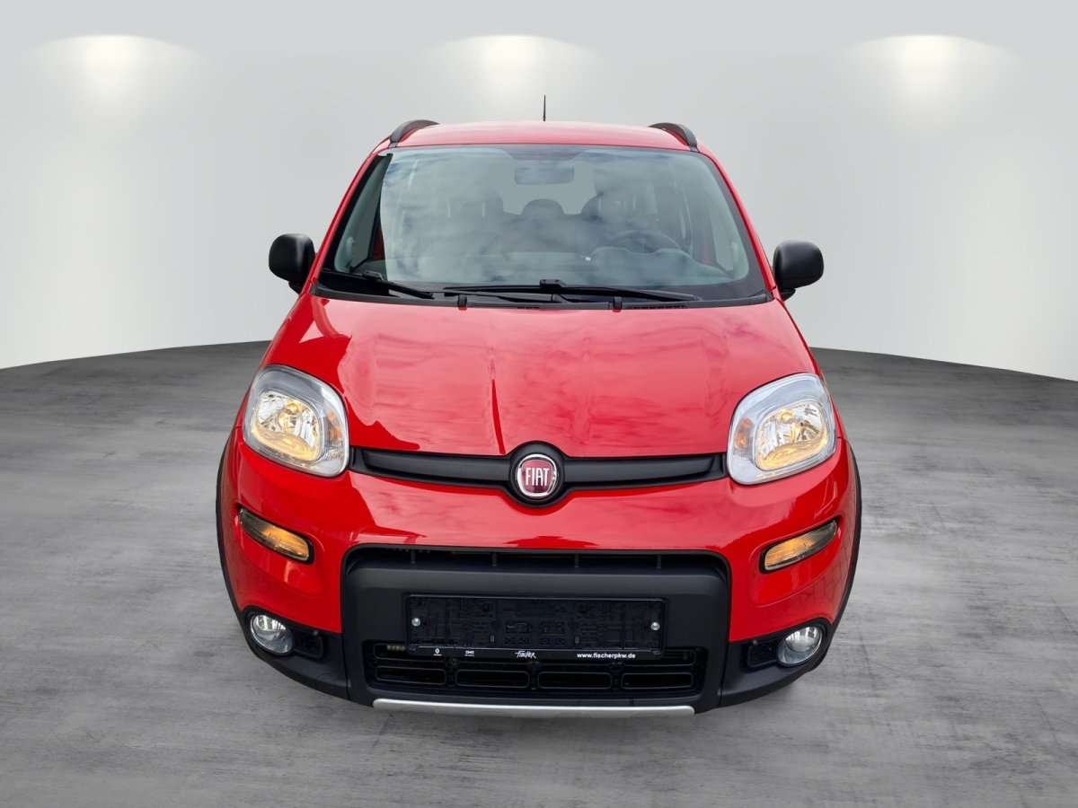 Fahrzeugbild eines Fiat Panda