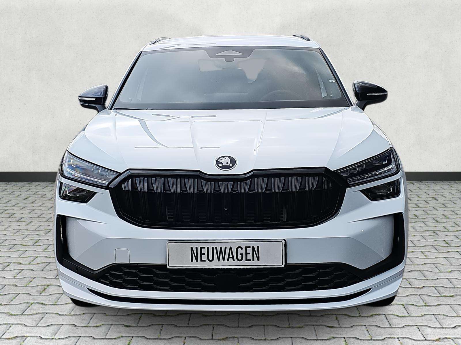 Fahrzeugbild eines Skoda Kodiaq