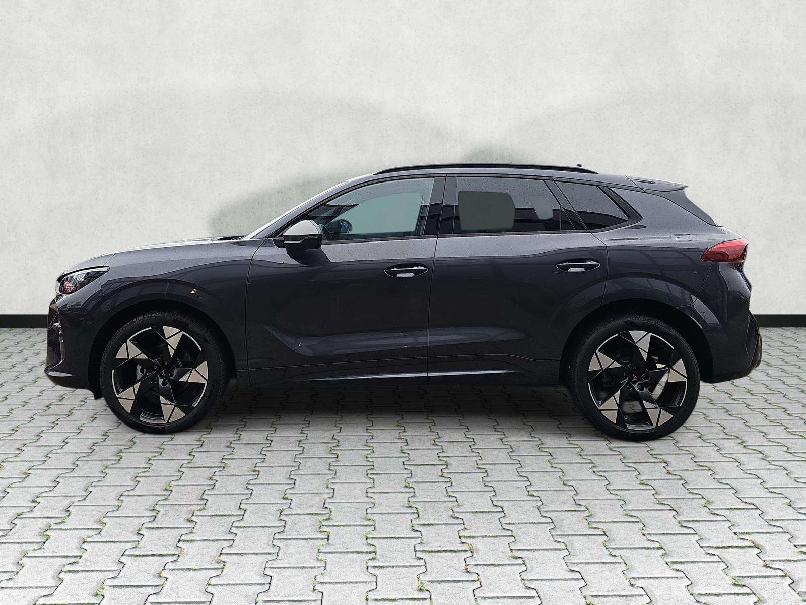 Fahrzeugbild eines CUPRA Terramar