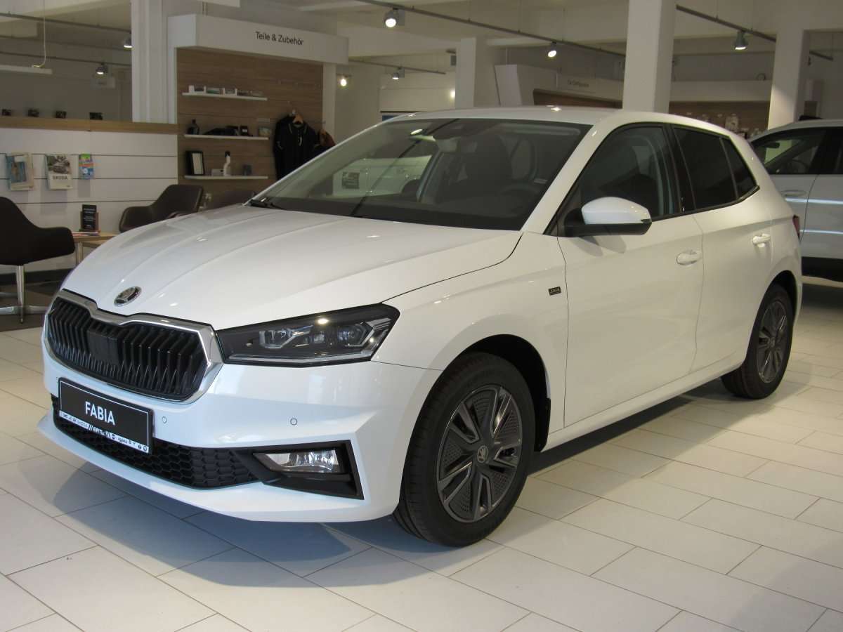 Fahrzeugbild eines Skoda Fabia