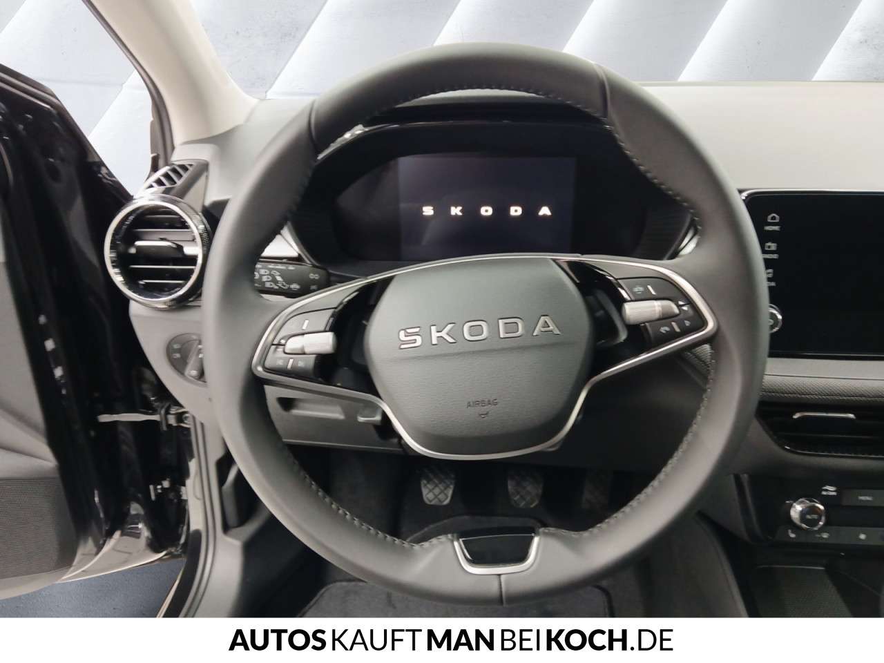 Fahrzeugbild eines Skoda Fabia