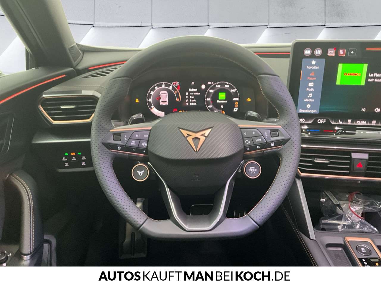 Fahrzeugbild eines CUPRA Formentor