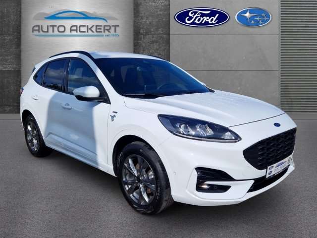 Fahrzeugbild eines Ford Kuga