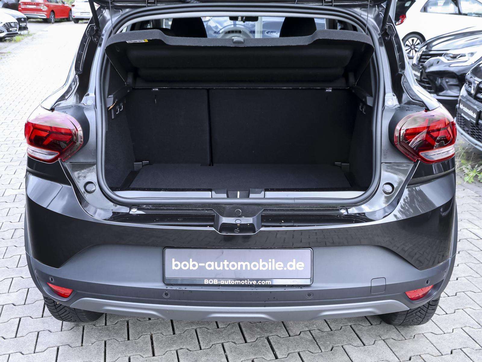 Fahrzeugbild eines Dacia Sandero