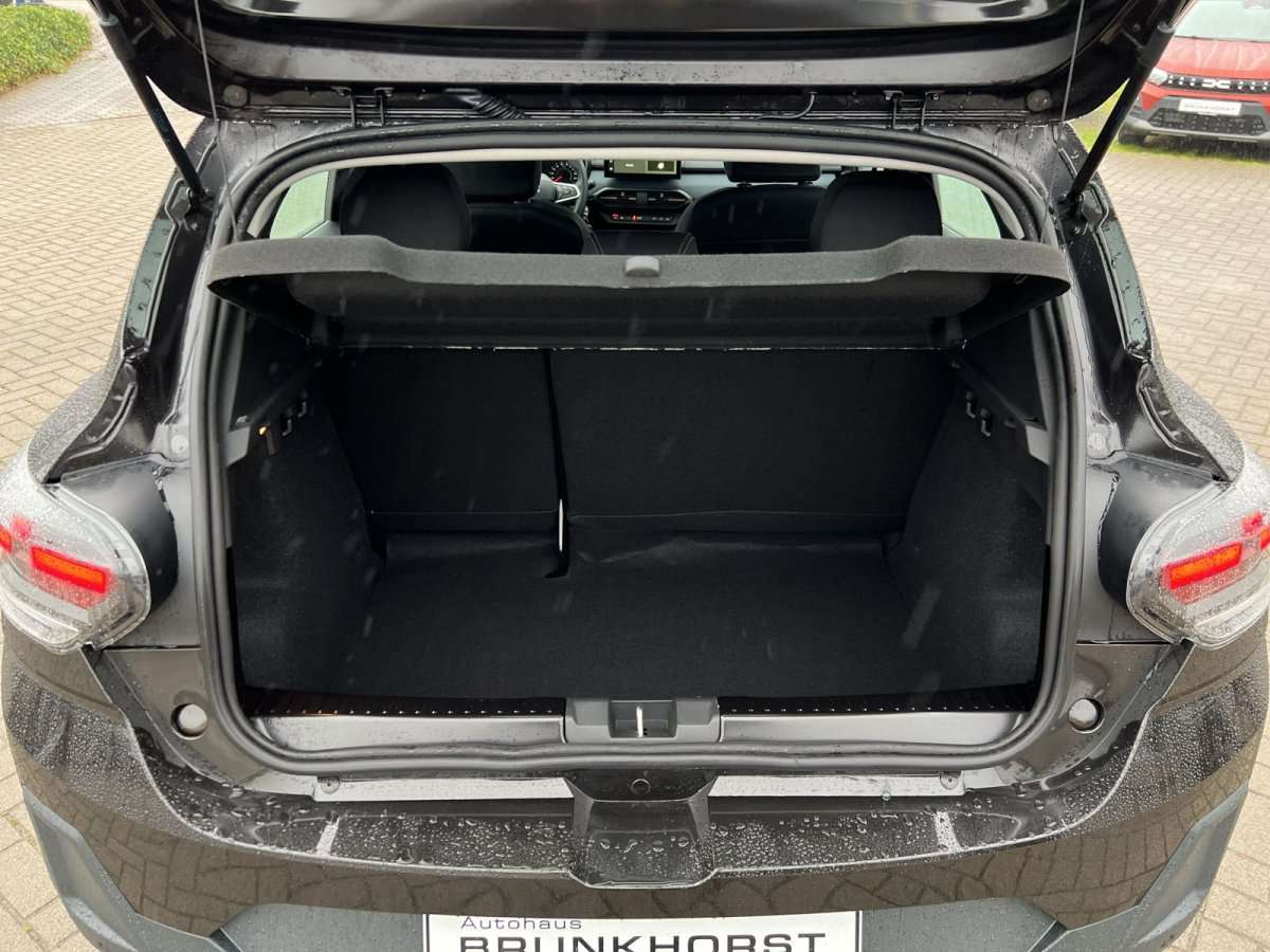 Fahrzeugbild eines Dacia Sandero