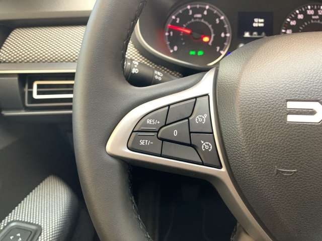 Fahrzeugbild eines Dacia Sandero