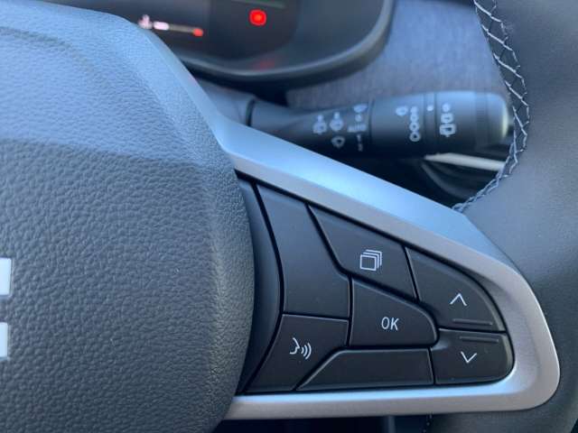 Fahrzeugbild eines Dacia Jogger