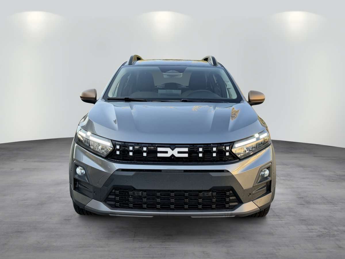 Fahrzeugbild eines Dacia Sandero