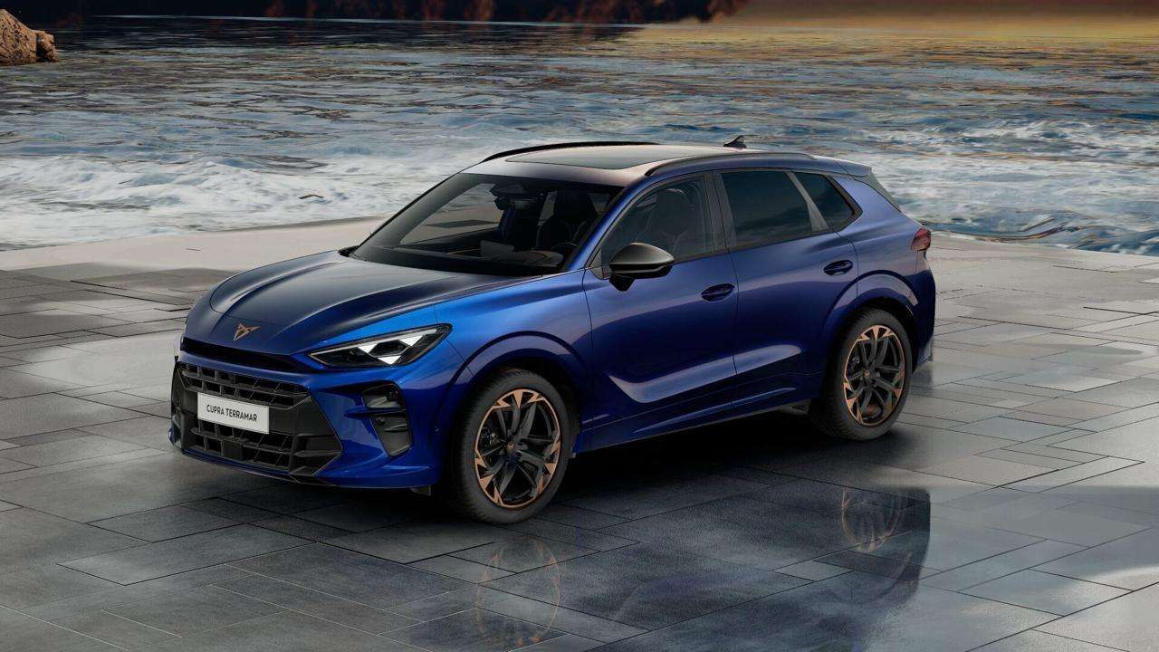 Fahrzeugbild eines CUPRA Terramar