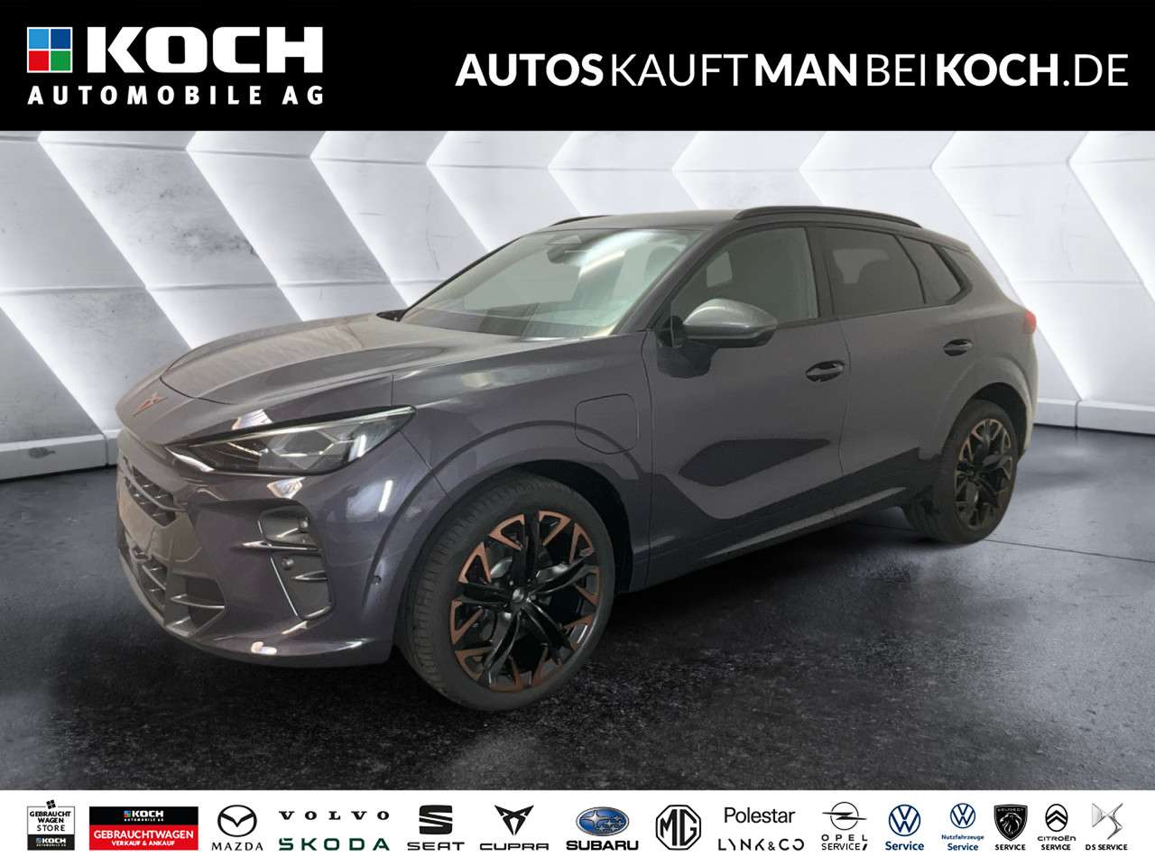 Fahrzeugbild eines CUPRA Terramar