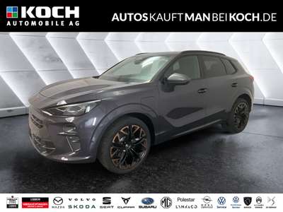 Bild CUPRA Terramar