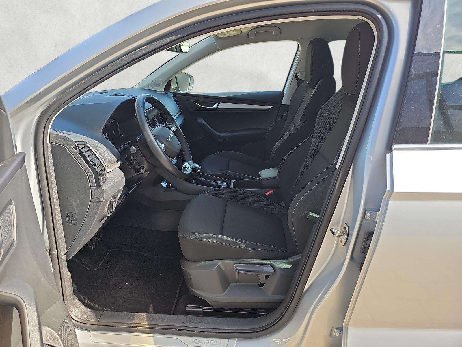 Fahrzeugbild eines Skoda Karoq