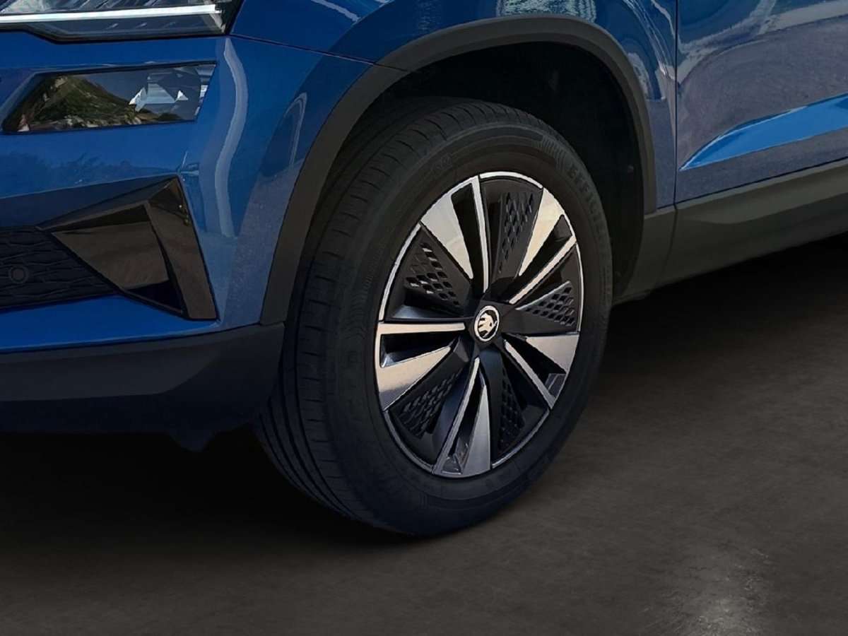 Fahrzeugbild eines Skoda Karoq