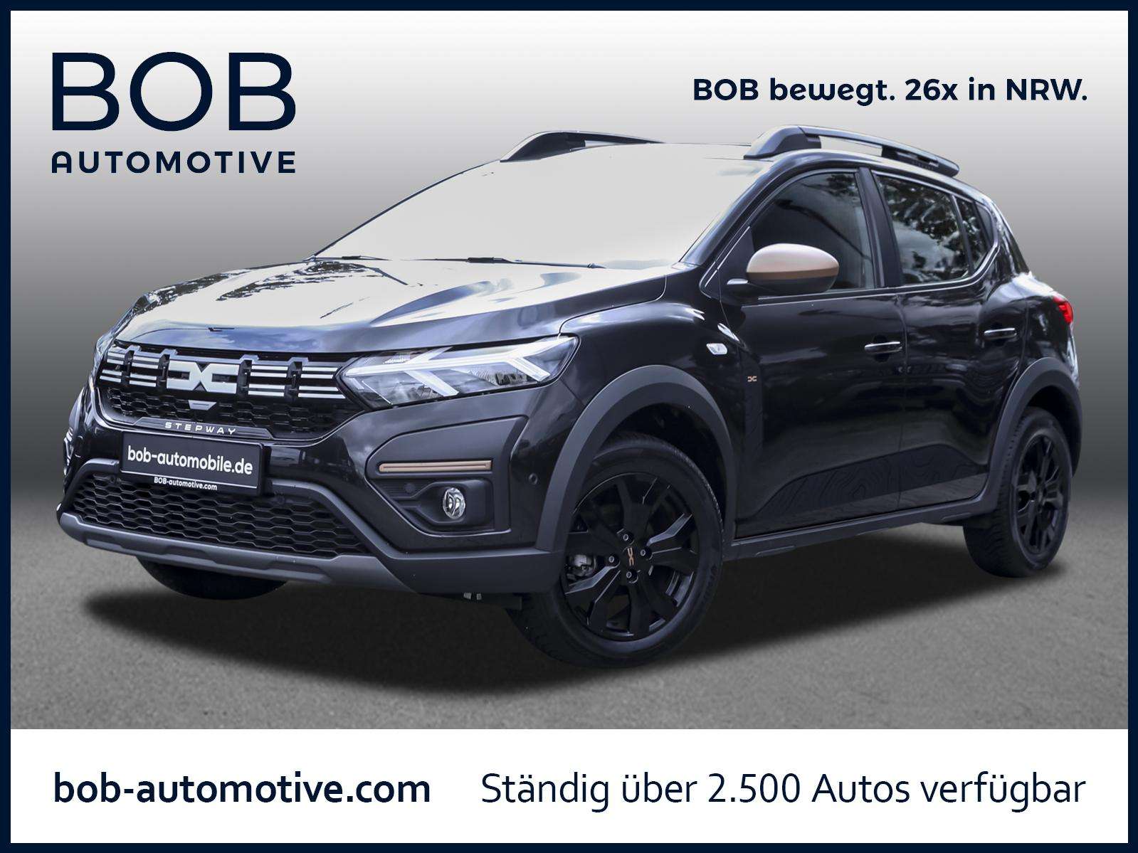 Fahrzeugbild eines Dacia Sandero