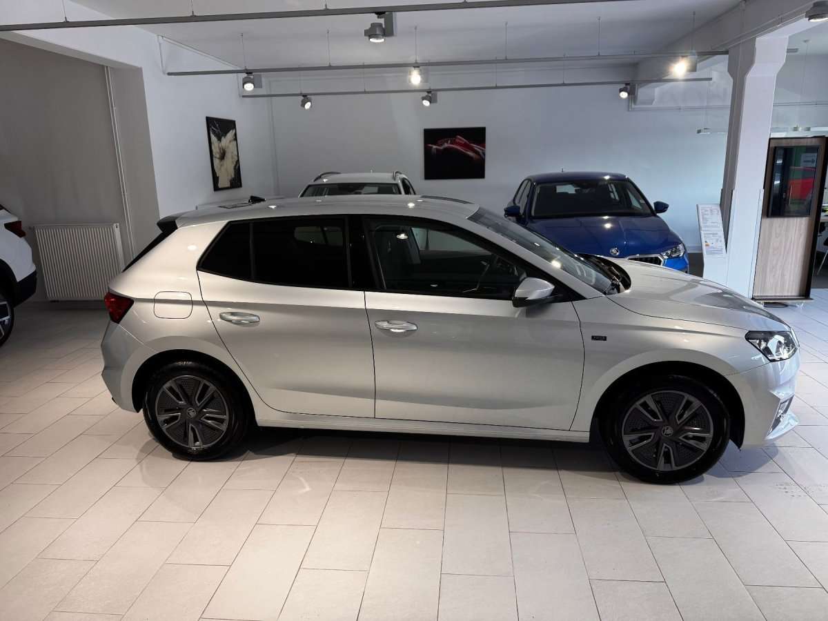 Fahrzeugbild eines Skoda Fabia