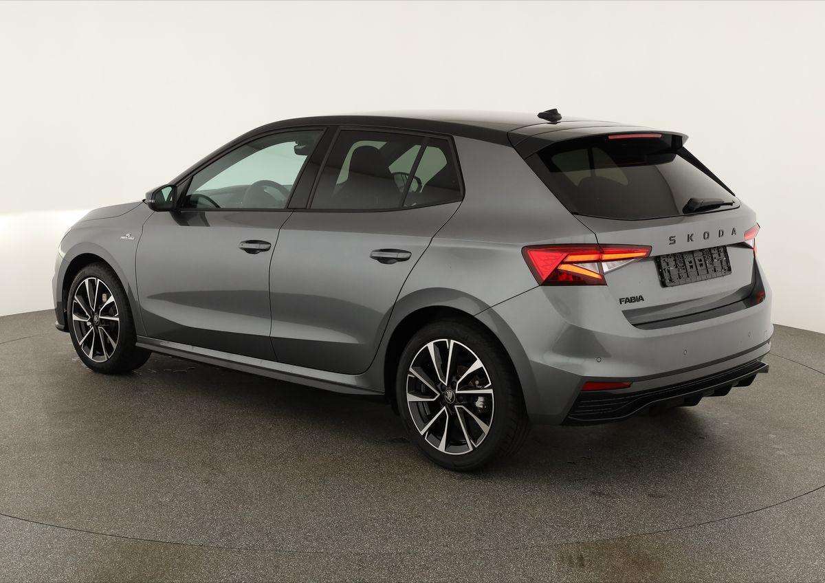 Fahrzeugbild eines Skoda Fabia