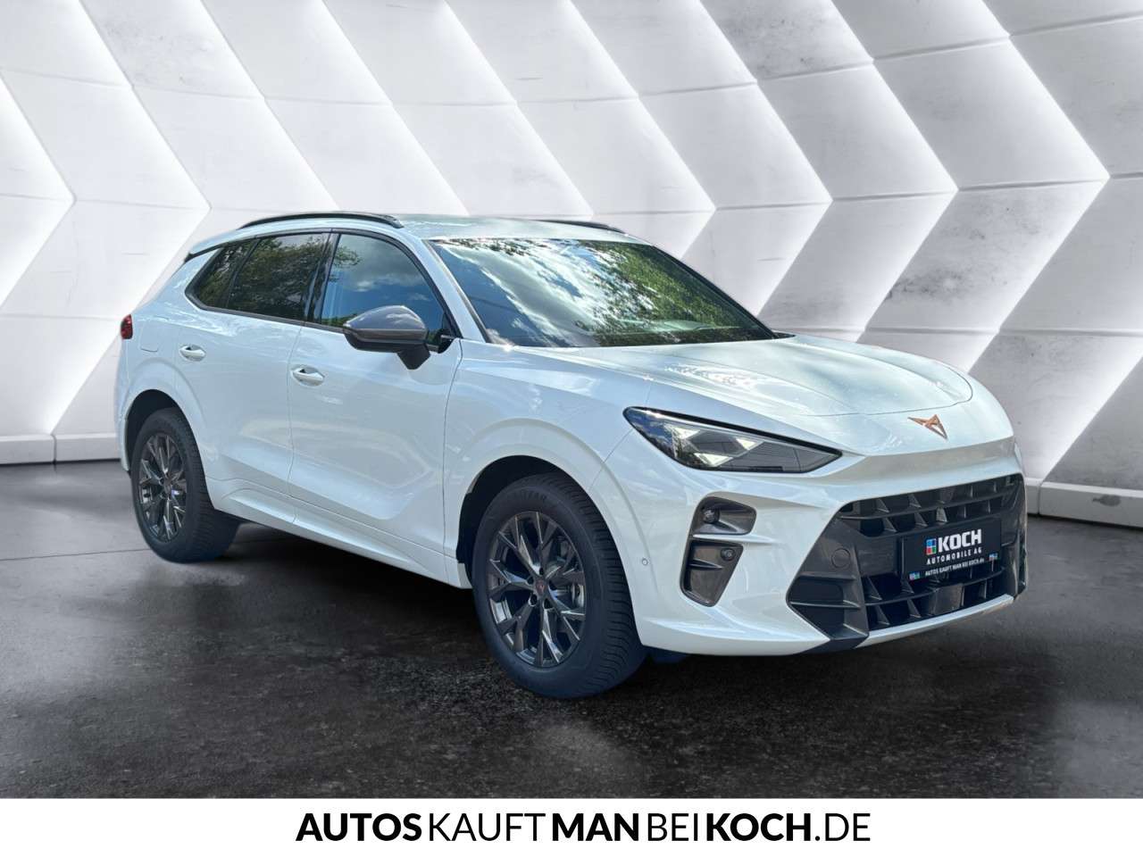 Fahrzeugbild eines CUPRA Terramar