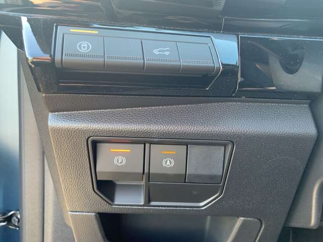 Fahrzeugbild eines Renault Austral