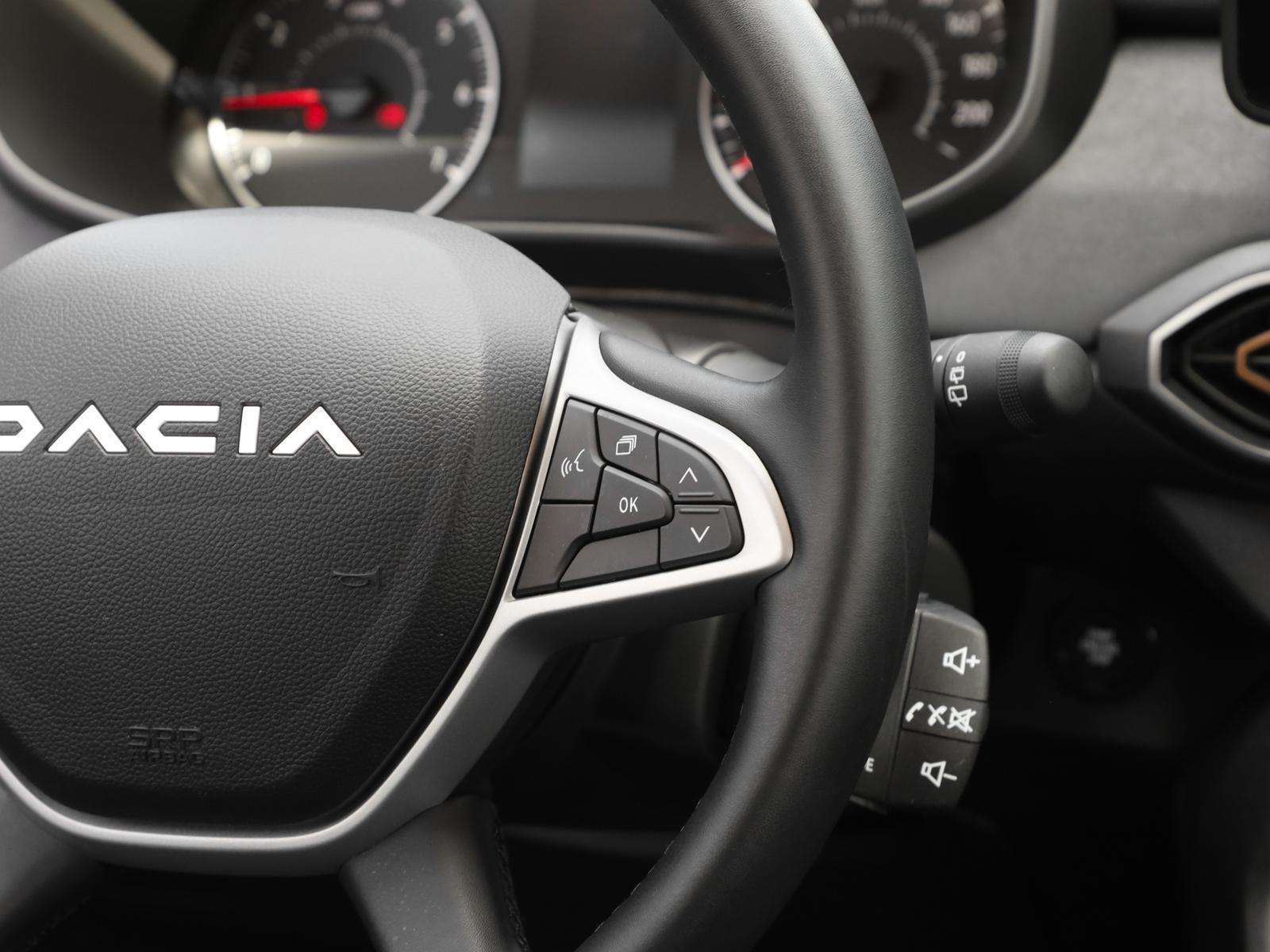 Fahrzeugbild eines Dacia Sandero
