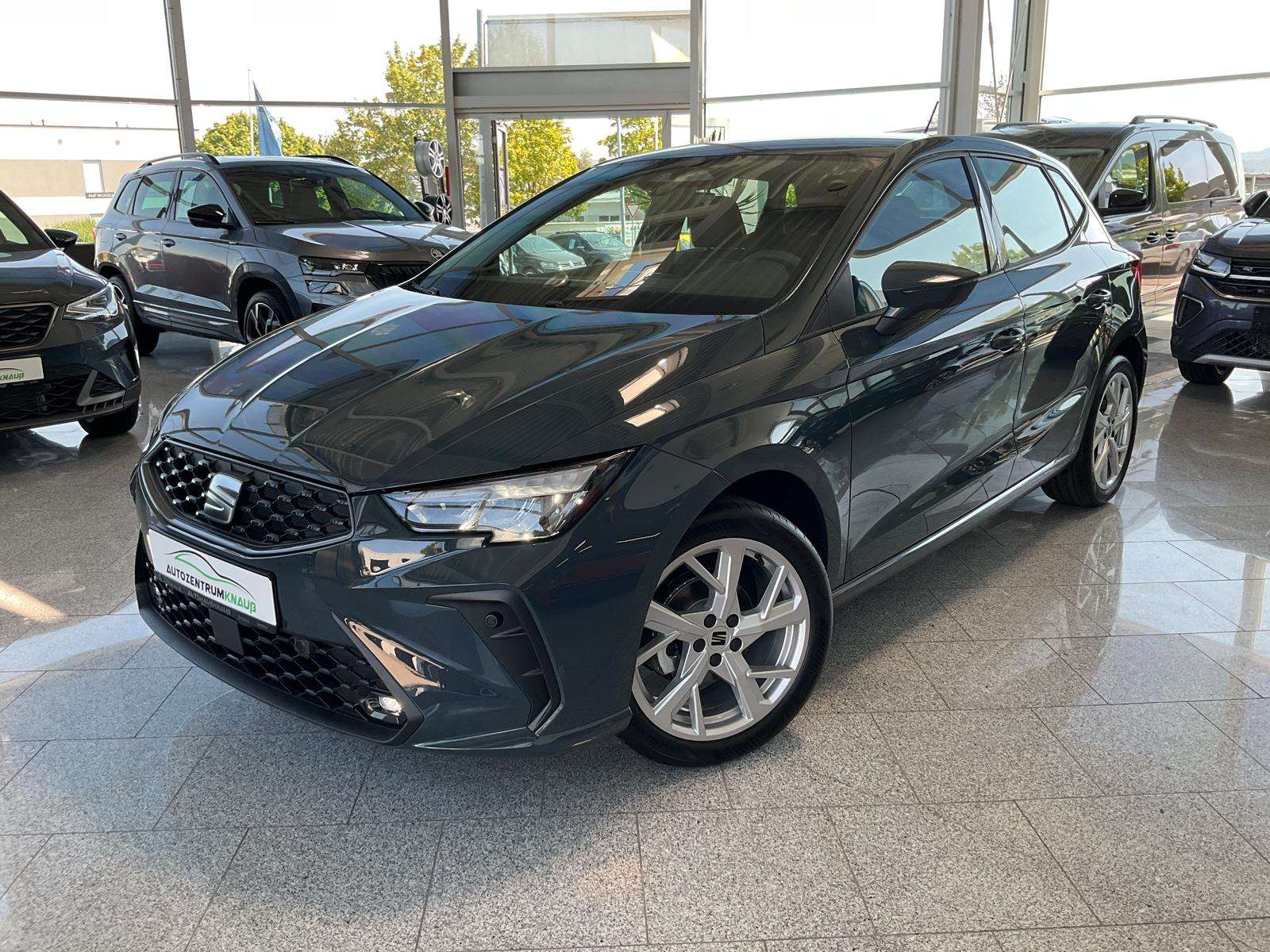 Fahrzeugbild eines SEAT Ibiza