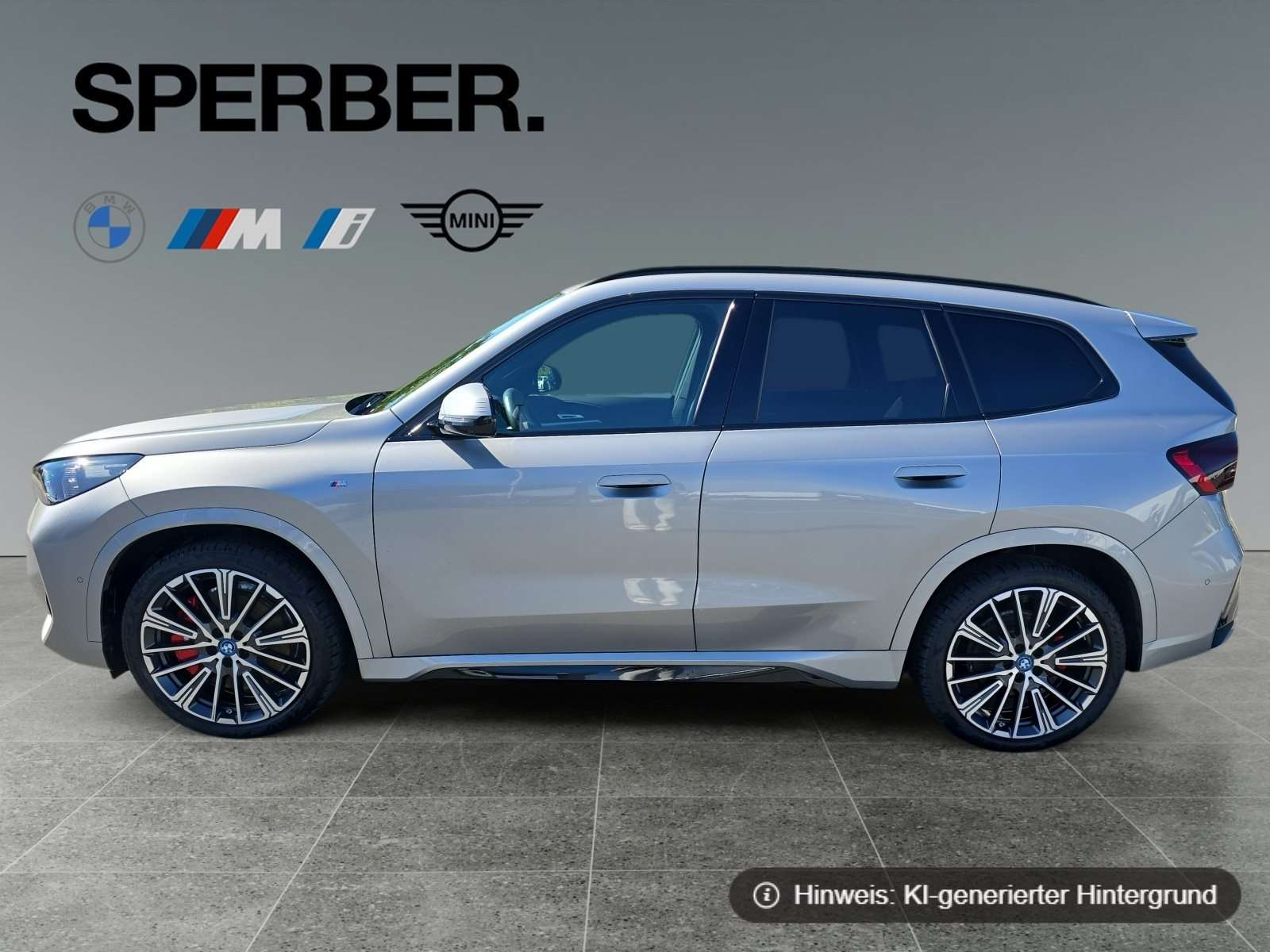 Fahrzeugbild eines BMW iX1