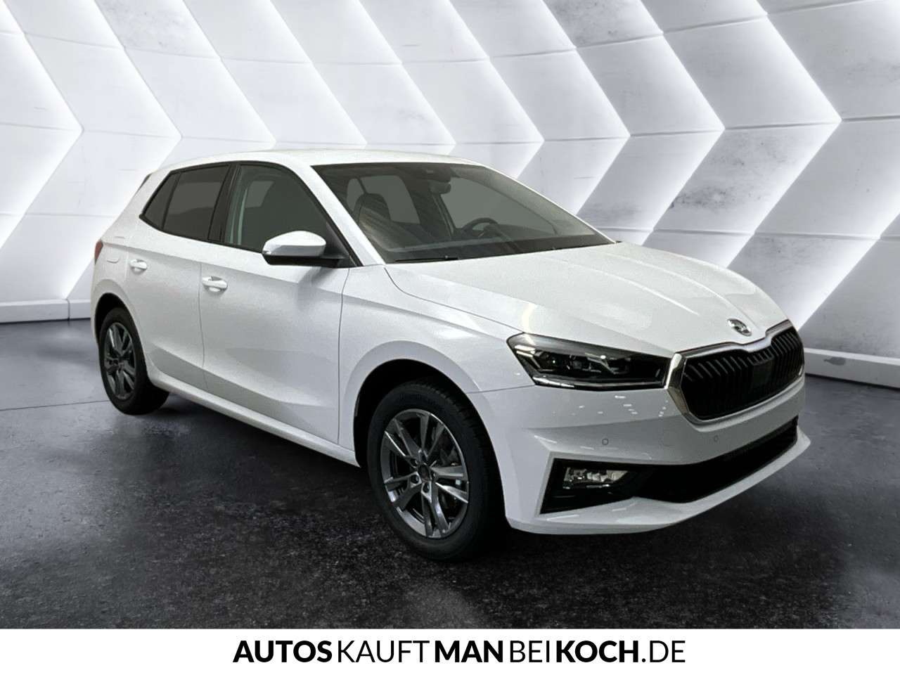 Fahrzeugbild eines Skoda Fabia