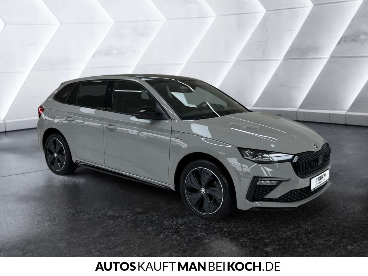 Fahrzeugbild eines Skoda Scala