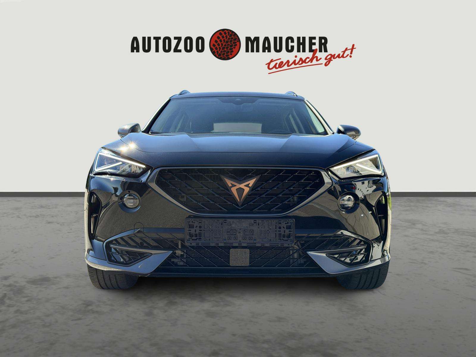 Fahrzeugbild eines CUPRA Formentor