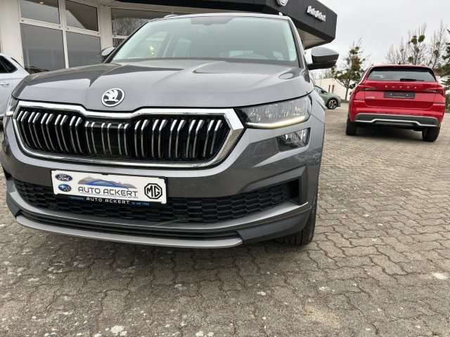 Fahrzeugbild eines Skoda Kodiaq
