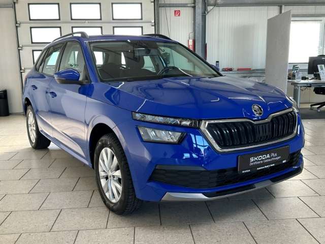 Fahrzeugbild eines Skoda Kamiq
