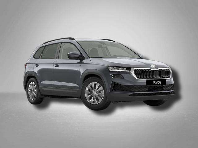 Fahrzeugbild eines Skoda Karoq